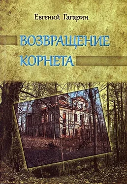 Евгений Гагарин Возвращение корнета обложка книги