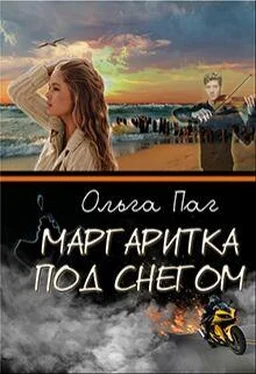 Ольга Паг Маргаритка под снегом обложка книги