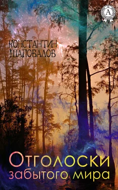 Константин Шаповалов Отголоски забытого мира обложка книги