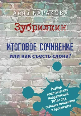 Анна Каракова Зубрилкин. Итоговое сочинение, или Как съесть слона? обложка книги