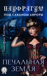 Тимофей Костин - Печальная земля