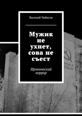 Василий Чибисов Мужик не ухнет, сова не съест. Иронический хоррор обложка книги