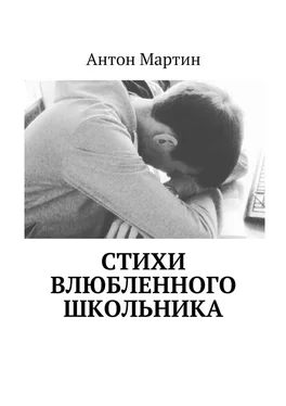 Антон Мартин Стихи влюбленного школьника обложка книги