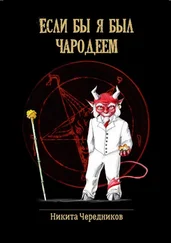 Никита Чередников - Если бы я был чародеем