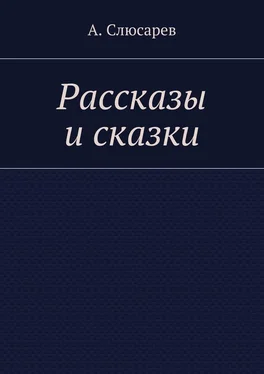 Анатолий Слюсарев Рассказы и сказки обложка книги