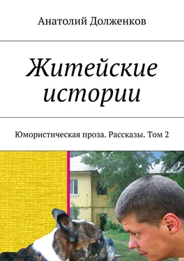 Анатолий Долженков Житейские истории. Юмористическая проза. Рассказы. Том 2 обложка книги