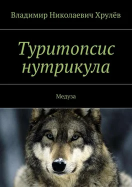 Владимир Хрулёв Туритопсис нутрикула. Медуза обложка книги