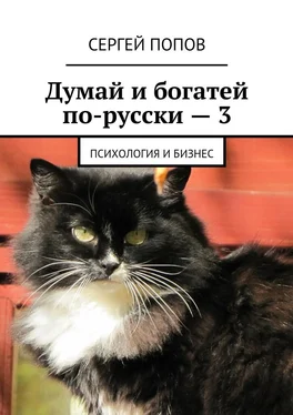 Сергей Попов Думай и богатей по-русски – 3. Психология и бизнес обложка книги