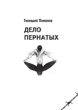 Геннадий Пименов Дело пернатых. Пессимистическая комедия обложка книги