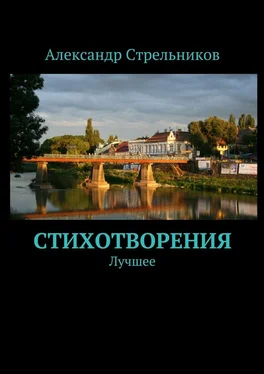 Александр Стрельников Стихотворения. Лучшее обложка книги