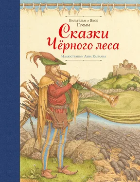 Якоб и Вильгельм Гримм Сказки Черного леса (сборник) обложка книги