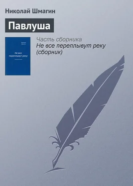 Николай Шмагин Павлуша обложка книги