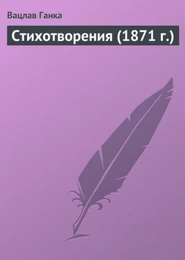 Вацлав Ганка Стихотворения (1871 г.) обложка книги