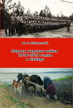 Михаил Шиловский Первая мировая война 1914–1918 годов и Сибирь обложка книги