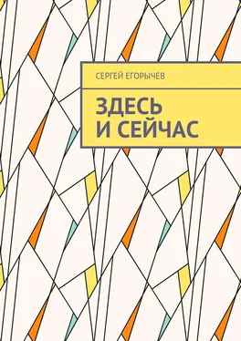 Сергей Егорычев Здесь и сейчас обложка книги