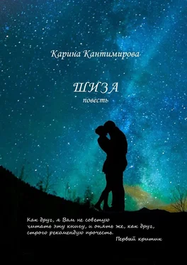 Карина Кантимирова Шиза обложка книги