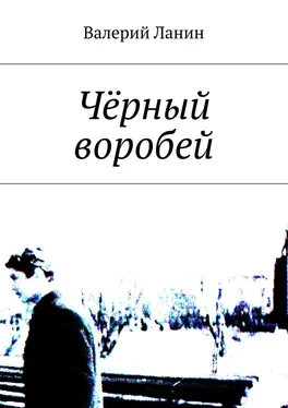 Валерий Ланин Чёрный воробей обложка книги