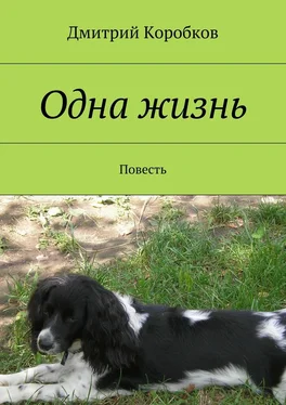 Дмитрий Коробков Одна жизнь. Повесть обложка книги