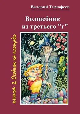 Валерий Тимофеев Волшебник из третьего «г». Книга 2. Особняк на площади обложка книги