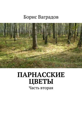 Борис Ваградов Парнасские цветы. Часть вторая обложка книги