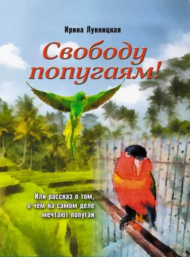 Ирина Лукницкая Свободу попугаям! обложка книги