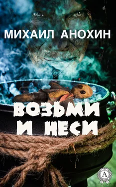 Михаил Анохин Возьми и неси обложка книги