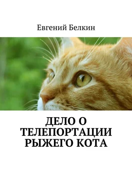 Евгений Белкин Дело о телепортации рыжего кота обложка книги