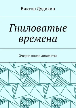 Виктор Дудихин Гниловатые времена. Очерки эпохи лихолетья обложка книги