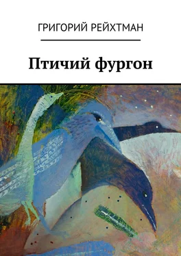 Григорий Рейхтман Птичий фургон. Часть первая. Птицы обложка книги