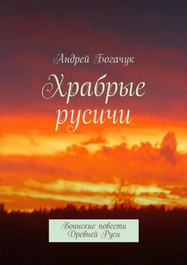 Андрей Богачук Храбрые русичи. Воинские повести Древней Руси обложка книги