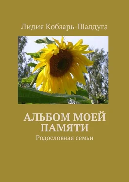 Лидия Кобзарь-Шалдуга Альбом моей памяти. Родословная семьи обложка книги