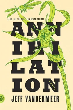 VanderMeer, Jeff Annihilation: A Novel (The Southern Reach Trilogy) обложка книги