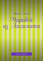 Вадим Россик - Чародей из Аксамита. Книга третья