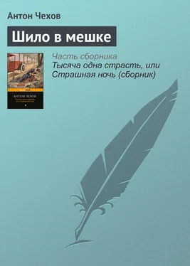 Антон Чехов Шило в мешке обложка книги