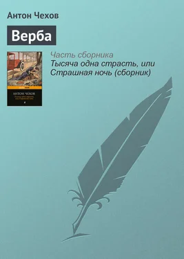 Антон Чехов Верба обложка книги