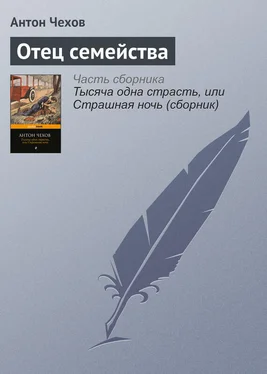 Антон Чехов Отец семейства обложка книги