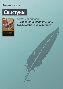 Антон Чехов Свистуны обложка книги