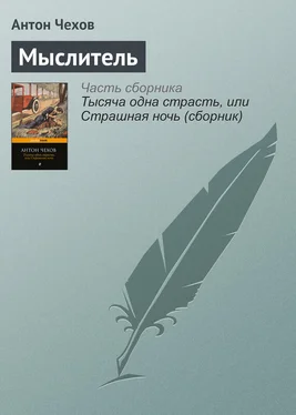 Антон Чехов Мыслитель обложка книги