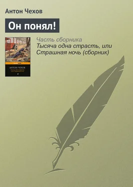 Антон Чехов Он понял! обложка книги