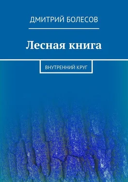 Дмитрий Болесов Лесная книга. Внутренний круг обложка книги