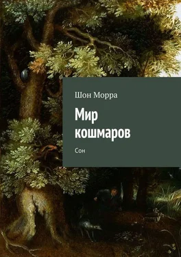 Шон Морра Мир кошмаров. Сон обложка книги