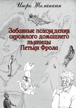 Игорь Желанкин Забавные похождения скромного домашнего пьяницы Петьки Фрола обложка книги