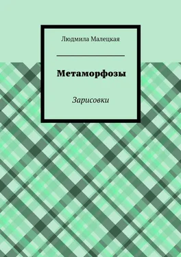 Людмила Малецкая Метаморфозы. Зарисовки обложка книги