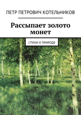 Петр Котельников Рассыпает золото монет. Стихи о природе обложка книги