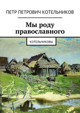 Петр Котельников Мы роду православного. Котельниковы обложка книги