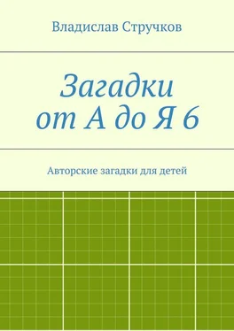 Владислав Стручков Загадки от А до Я 6. Авторские загадки для детей обложка книги