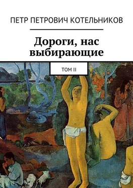 Петр Котельников Дороги, нас выбирающие. Том II