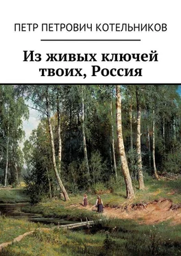 Петр Котельников Из живых ключей твоих, Россия обложка книги