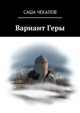 Саша Чекалов Вариант Геры обложка книги