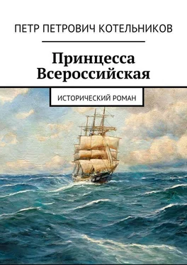 Петр Котельников Принцесса Всероссийская. Исторический роман обложка книги